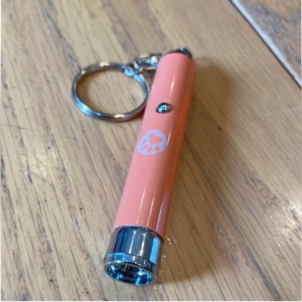 Puppy Paw Light Key Chain in Pink/Peach color